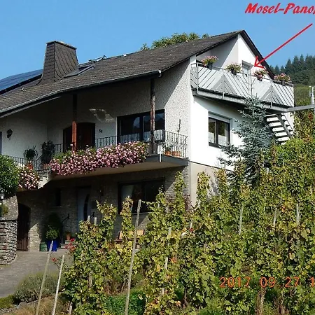 Mosel-panorama